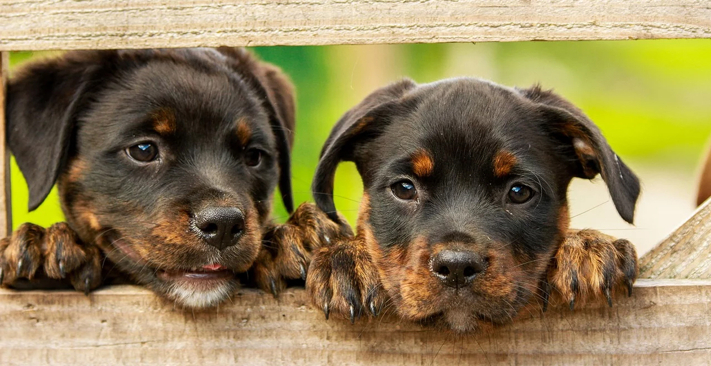 Unsplashed background img 2